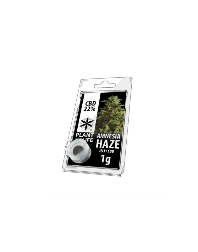 Plant of Life | Jelly CBD Amnesia Haze 22% - 1g