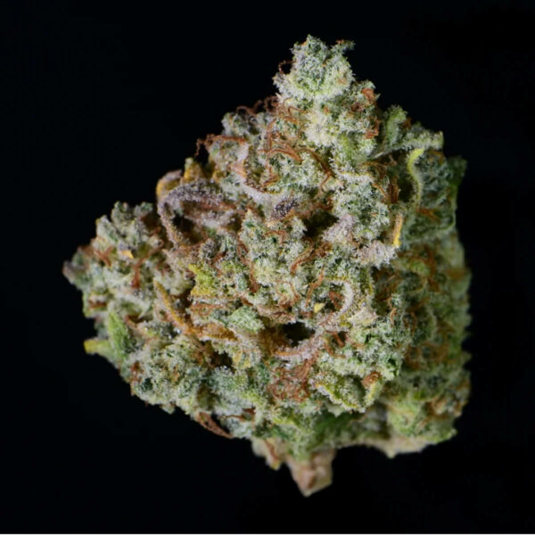 Fast Buds | Autoflowering Cannabis Seeds - Gelato Auto – flower pic - 2