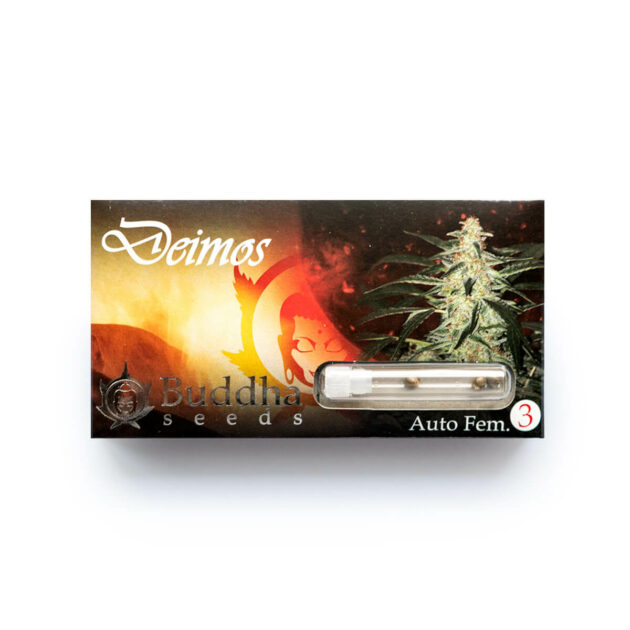 Buddha Seeds | Autoflowering Cannabis Seeds – Deimos Auto – 3pcs - packaging photo