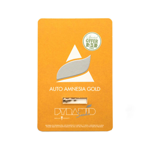 Pyramid Seeds | Autoflowering Cannabis Seeds – Auto Amnesia Gold – 3+1pcs - Packaging photo