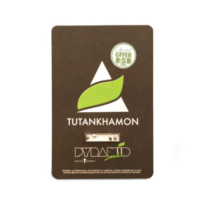 Pyramid Seeds | Feminized Cannabis Seeds – Tutankhamon – 3+1pcs - packaging photo